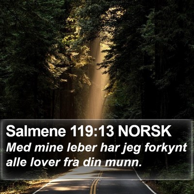 Salmene 119:13 NORSK Bible Verse Image