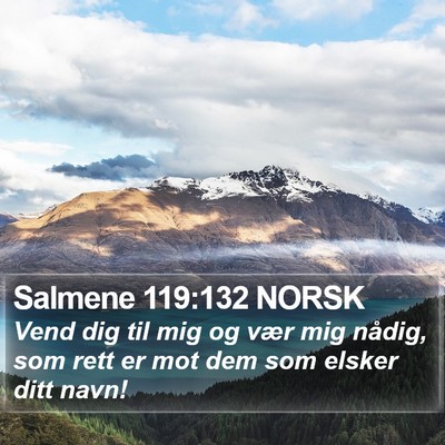 Salmene 119:132 NORSK Bible Verse Image