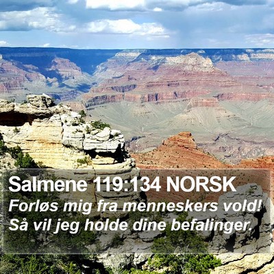Salmene 119:134 NORSK Bible Verse Image