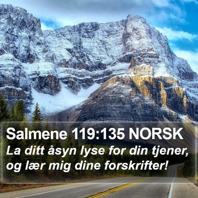 Salmene 119:135 NORSK Bible Verse Image