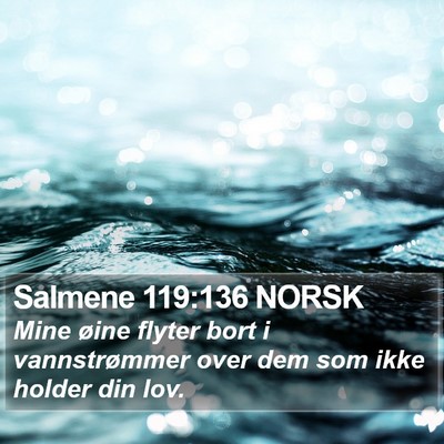 Salmene 119:136 NORSK Bible Verse Image