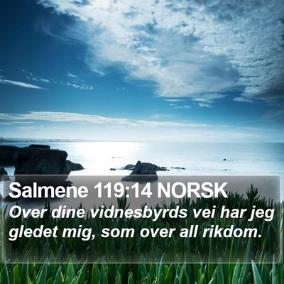 Salmene 119:14 NORSK Bible Verse Image