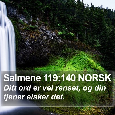 Salmene 119:140 NORSK Bible Verse Image