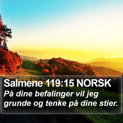 Salmene 119:15 NORSK Bible Verse Image