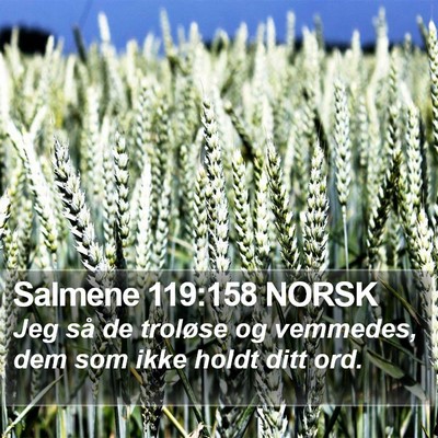 Salmene 119:158 NORSK Bible Verse Image