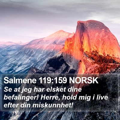 Salmene 119:159 NORSK Bible Verse Image
