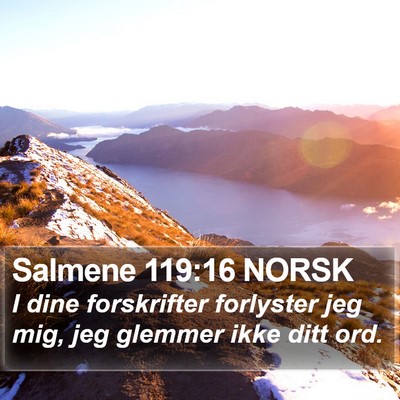 Salmene 119:16 NORSK Bible Verse Image