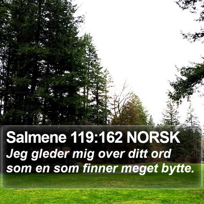 Salmene 119:162 NORSK Bible Verse Image