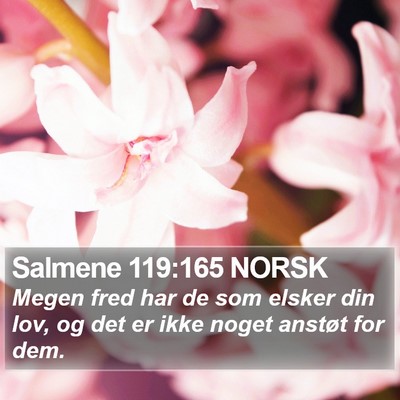 Salmene 119:165 NORSK Bible Verse Image
