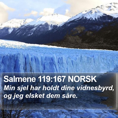 Salmene 119:167 NORSK Bible Verse Image