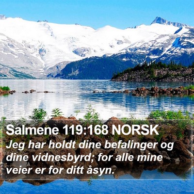 Salmene 119:168 NORSK Bible Verse Image