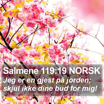Salmene 119:19 NORSK Bible Verse Image