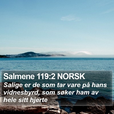 Salmene 119:2 NORSK Bible Verse Image