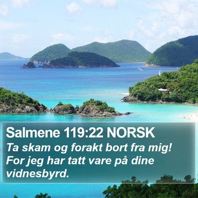Salmene 119:22 NORSK Bible Verse Image