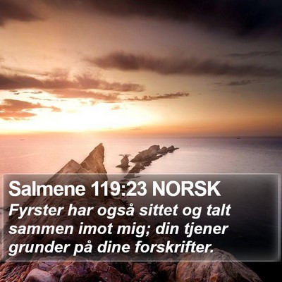 Salmene 119:23 NORSK Bible Verse Image