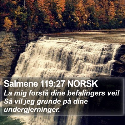 Salmene 119:27 NORSK Bible Verse Image