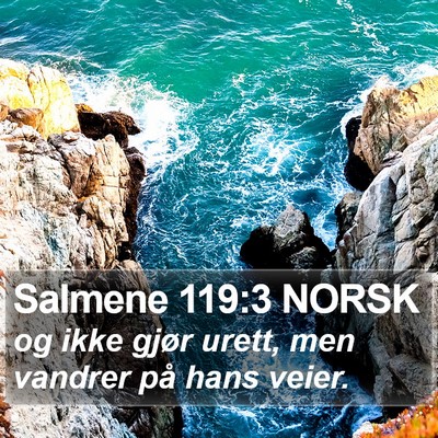 Salmene 119:3 NORSK Bible Verse Image