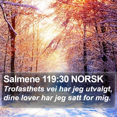 Salmene 119:30 NORSK Bible Verse Image