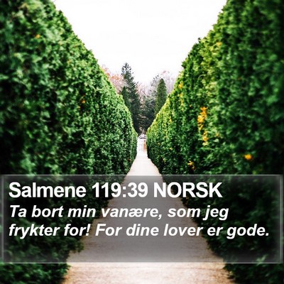 Salmene 119:39 NORSK Bible Verse Image