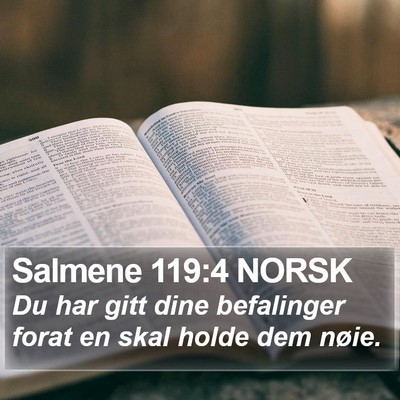 Salmene 119:4 NORSK Bible Verse Image