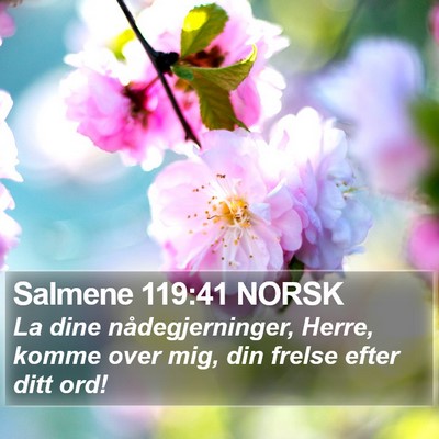 Salmene 119:41 NORSK Bible Verse Image