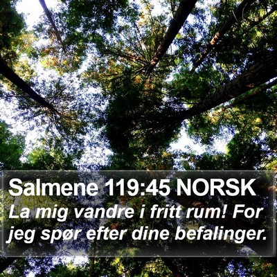 Salmene 119:45 NORSK Bible Verse Image