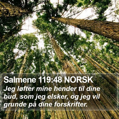 Salmene 119:48 NORSK Bible Verse Image