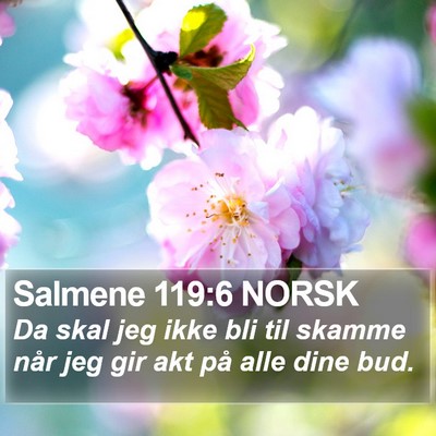 Salmene 119:6 NORSK Bible Verse Image