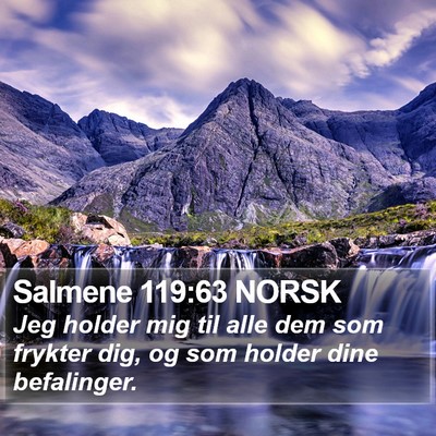 Salmene 119:63 NORSK Bible Verse Image