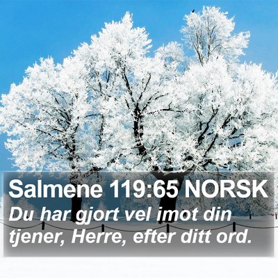 Salmene 119:65 NORSK Bible Verse Image
