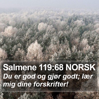 Salmene 119:68 NORSK Bible Verse Image