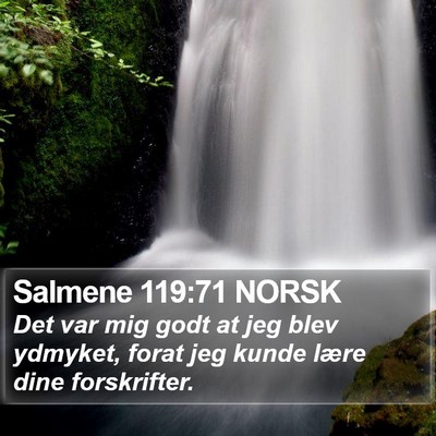 Salmene 119:71 NORSK Bible Verse Image