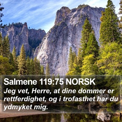 Salmene 119:75 NORSK Bible Verse Image