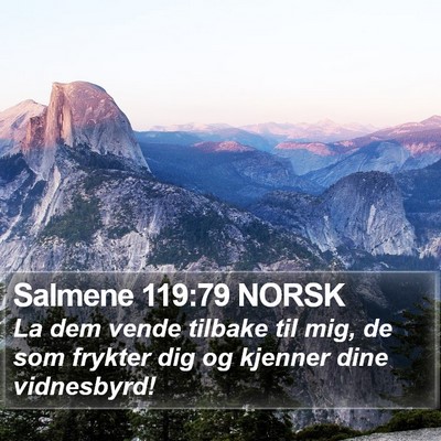 Salmene 119:79 NORSK Bible Verse Image