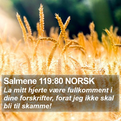 Salmene 119:80 NORSK Bible Verse Image
