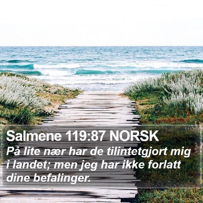 Salmene 119:87 NORSK Bible Verse Image