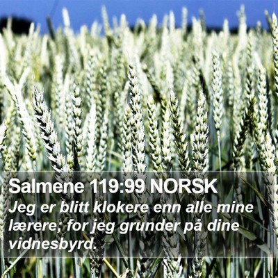 Salmene 119:99 NORSK Bible Verse Image