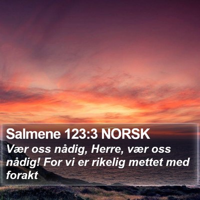 Salmene 123:3 NORSK Bible Verse Image