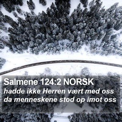 Salmene 124:2 NORSK Bible Verse Image