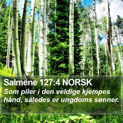 Salmene 127:4 NORSK Bible Verse Image