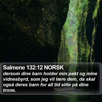 Salmene 132:12 NORSK Bible Verse Image