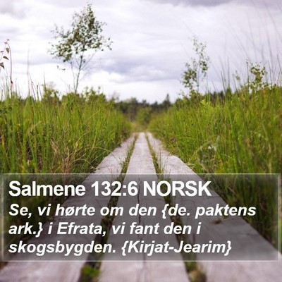 Salmene 132:6 NORSK Bible Verse Image