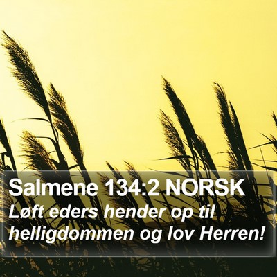 Salmene 134:2 NORSK Bible Verse Image