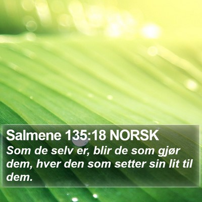 Salmene 135:18 NORSK Bible Verse Image