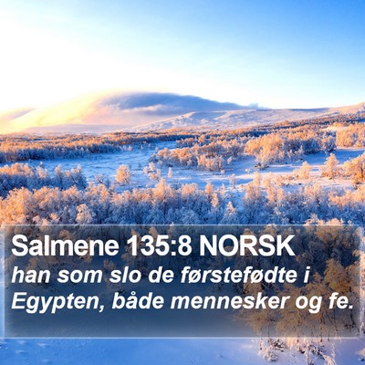 Salmene 135:8 NORSK Bible Verse Image