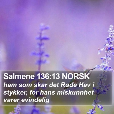 Salmene 136:13 NORSK Bible Verse Image