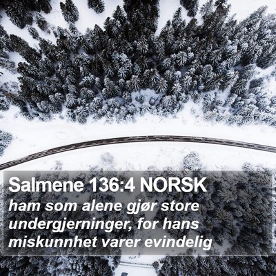 Salmene 136:4 NORSK Bible Verse Image