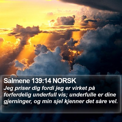 Salmene 139:14 NORSK Bible Verse Image