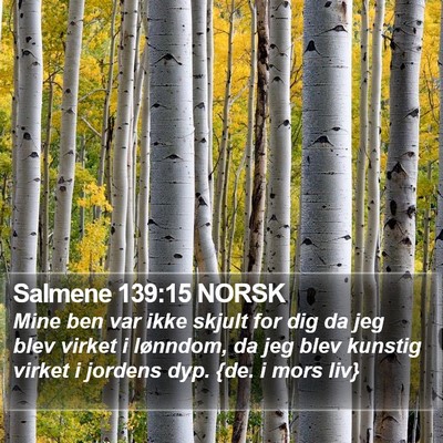Salmene 139:15 NORSK Bible Verse Image