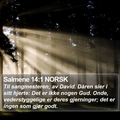 Salmene 14:1 NORSK Bible Verse Image